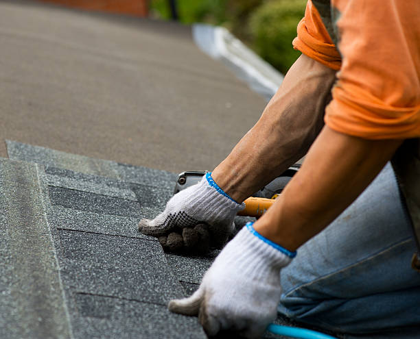 Best Roof Waterproofing Services  in Hayti, PA